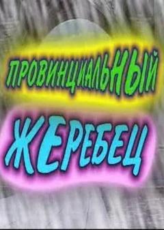 Провинциальный жеребец Провинциальный жеребец