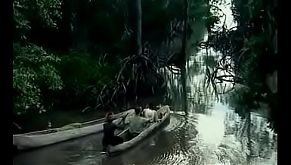 Tarzan-X: Shame Of Jane