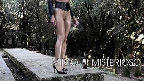 Развратные воспоминания Франчески