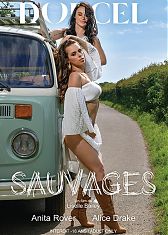 Дикое путешествие