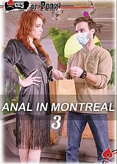 Анал в Монреале 3