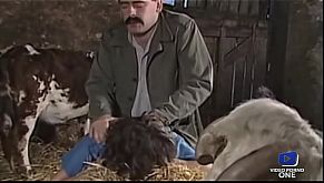 Ces salopes aiment se faire défoncer dans la paille 14 min