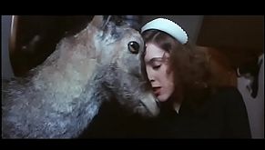 Desenfrenos carnales